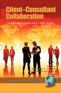 Client-Consultant Collaboration