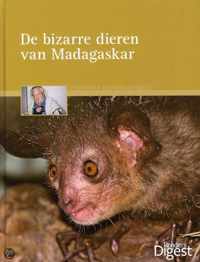 De Bizarre Dieren Van Madagaskar