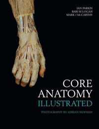 Core Anatomy - Illustrated