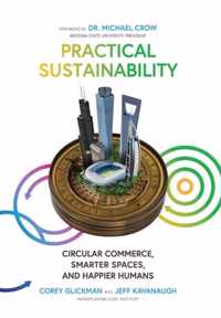 Practical Sustainability