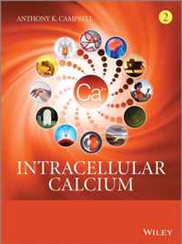 Intracellular Calcium