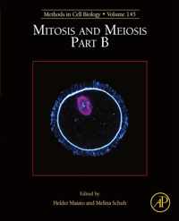 Mitosis and Meiosis Part B