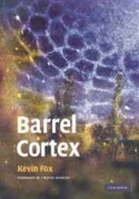 Barrel Cortex