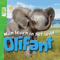 Olifant