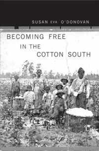 Becoming Free in the Cotton South