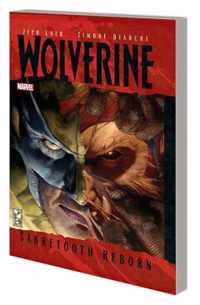 Wolverine Sabretooth Reborn