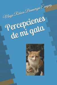 Percepciones de mi gata