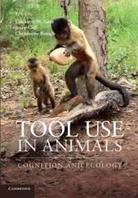 Tool Use in Animals