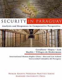 Security in Paraquay - Analysis and Responses in Comparative Perspective