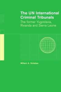 The UN International Criminal Tribunals