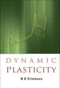 Dynamic Plasticity