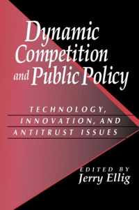 Dynamic Competition and Public Policy