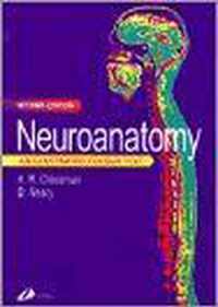 Neuroanatomy