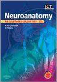 Neuroanatomy