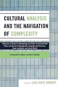 Cultural Analysis and the Navigation of Complexity