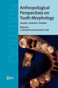 Anthropological Perspectives on Tooth Morphology