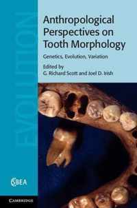 Anthropological Perspectives On Tooth Morphology