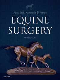 Equine Surgery