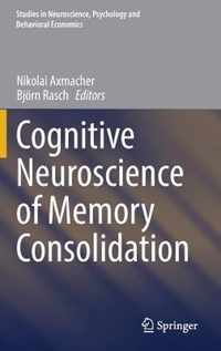 Cognitive Neuroscience of Memory Consolidation