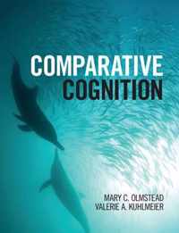 Comparative Cognition