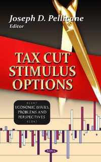 Tax Cut Stimulus Options