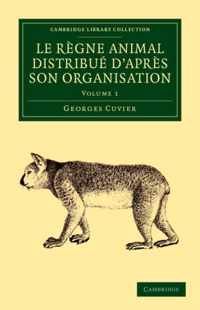 Le Regne Animal Distribue D'apres Son Organisation