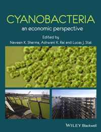 Cyanobacteria