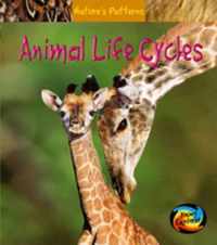 Animal Life Cycles