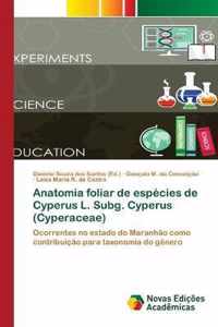 Anatomia foliar de especies de Cyperus L. Subg. Cyperus (Cyperaceae)