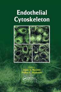 Endothelial Cytoskeleton