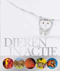 Dieren in actie