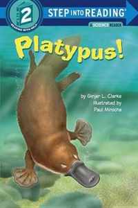 Platypus!