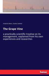 The Grape Vine