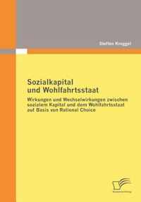 Sozialkapital und Wohlfahrtsstaat