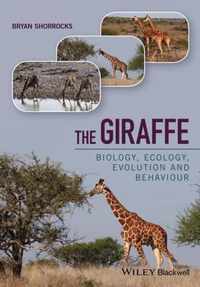 The Giraffe