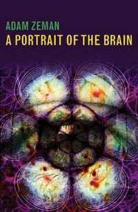 A Portrait of the Brain