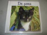 Lieve dieren: poes