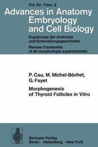 Morphogenesis of Thyroid Follicles in Vitro