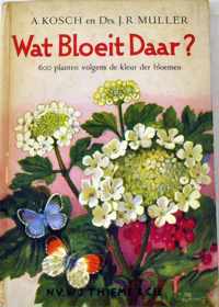 Wat bloeit daar - A. Kosch