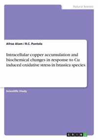 Intracellular copper accumulation and biochemical changes in response to Cu induced oxidative stress in brassica species