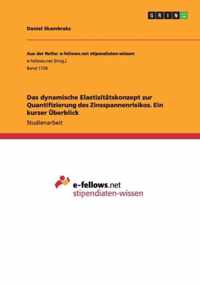 Das dynamische Elastizitatskonzept zur Quantifizierung des Zinsspannenrisikos. Ein kurzer UEberblick