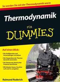 Thermodynamik Fur Dummies