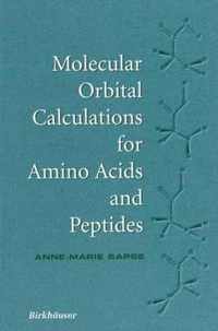 Molecular Orbital Calculations for Amino Acids and Peptides