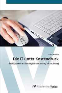 Die IT unter Kostendruck