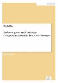 Bedeutung von strukturierten Gruppenprozessen im Lead-User Konzept