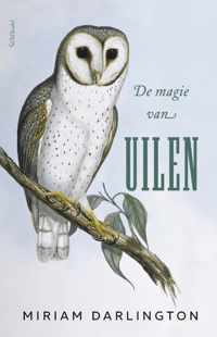 De magie van uilen