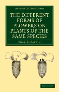 The Different Forms of Flowers on Plants of the Same Species