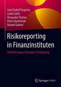 Risikoreporting in Finanzinstituten