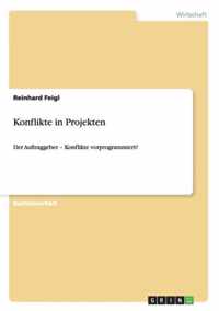 Konflikte in Projekten