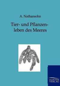 Tier- und Pflanzenleben des Meeres